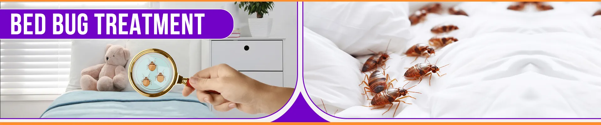 carpet cleaning in Westchester, carpet cleaning in Westchester, carpet cleaning Westchester, carpet cleaners in Westchester, carpet cleaners in Westchester, commercial carpet cleaning, commercial carpet cleaning in Westchester, Westchester rug cleaners, rug cleaning services in Westchester, same day carpet cleaning, same day rug cleaning