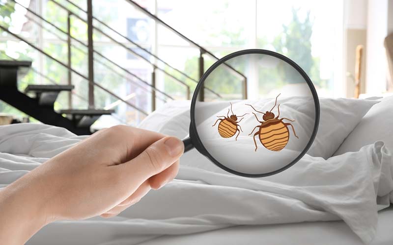 carpet cleaning in Westchester, carpet cleaning in Westchester, carpet cleaning Westchester, carpet cleaners in Westchester, carpet cleaners in Westchester, commercial carpet cleaning, commercial carpet cleaning in Westchester, Westchester rug cleaners, rug cleaning services in Westchester, same day carpet cleaning, same day rug cleaning