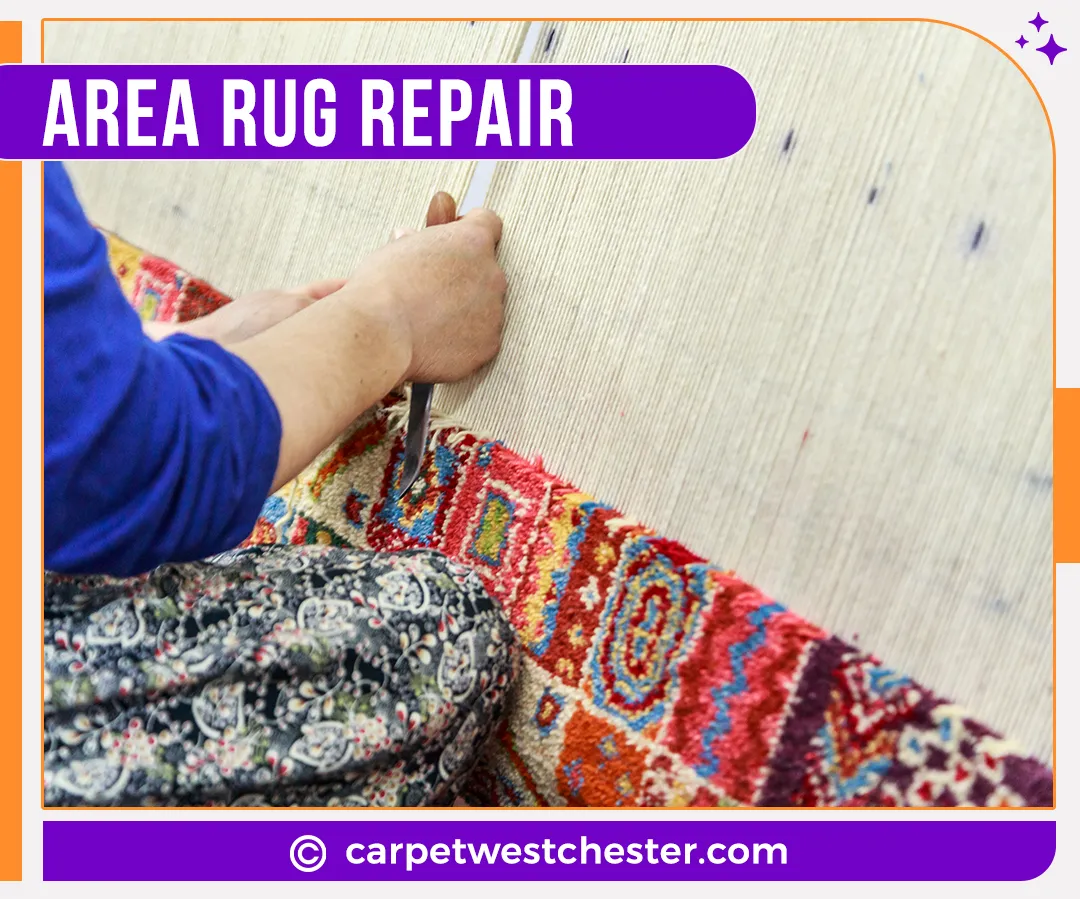 carpet cleaning in Westchester, carpet cleaning in the Westchester, carpet cleaning Westchester, carpet cleaners in Westchester, carpet cleaners in the Westchester, commercial carpet cleaning, commercial carpet cleaning in Westchester, Westchester rug cleaners, rug cleaning services in Westchester, same day carpet cleaning, same day rug cleaning